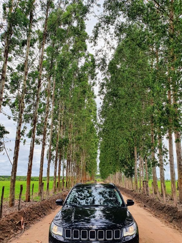 Carro Jeep preto em estrada de terra cercada por árvores altas, parte do serviço de transfer para Caraíva oferecido pelo Book Transfer.